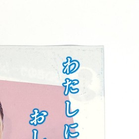 Famicom Yie Ar Kung-Fu & Antarctic Adventure Promo Flyer A4 Konami 1980s