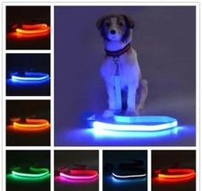 RECHARGEABLE 1FT-LED 4FT-LEASH glow light Dog Pet Safety Lead FOR Collar Harness