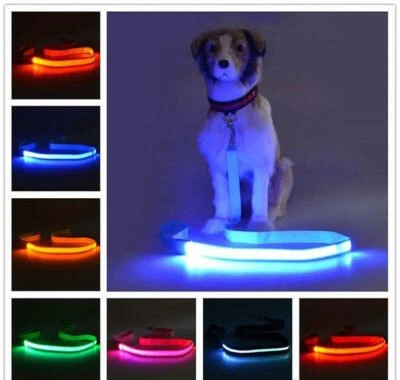NEW TECH JUNKIES RECHARGEABLE 1FT-LED 4FT-LEASH glow light Dog Pet Safety Lead FOR Collar Harness