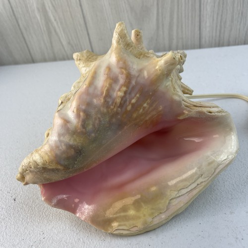 Vintage 50s 7" x 7" x 5" Large Conch Shell Pink Lamp Night Light Accent Light - Picture 2 of 17