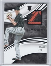 2016 Panini Immaculate Swatches Brand Logo #IS-BE Brian Ellington 3/5  