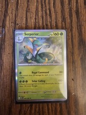 clamperl pokemon card value Clamperl (195/182) – PokeGuard main image 1