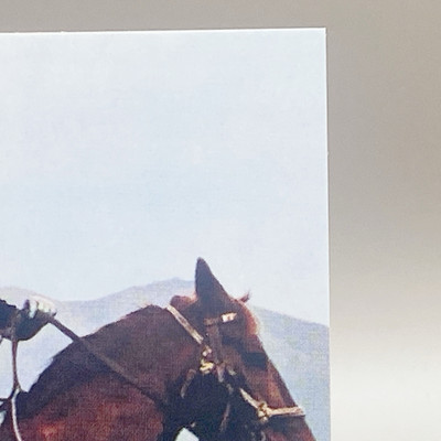 90s Vintage Amada Kamen Rider Ride a Horse TCG Calbee #191 Toei