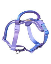 DF Freedom No Pull Martingale Dog Harness, Gentle Control for No Choking, Fro...