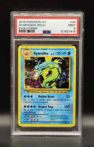 Gyarados Holo Pokemon XY 2016 PSA 9 Evolutions 34/108 Newly Graded