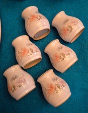 DENBY ENCORE SALT & PEPPER SETS SWEET PEA PATTERN IN NEW UNUSED CONDITION