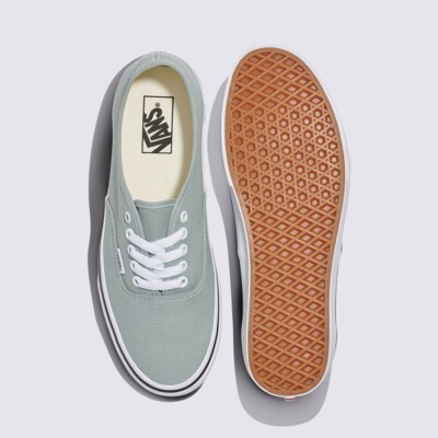 VANS Color Theory Authentic VN000D7YEPO Pure Grey Mens Womens US