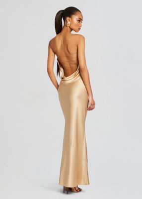 NWT retrofete dress xs - Original Price: $568