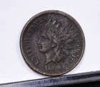 1880 Indian Cent - VF Details, Pitting (#57429-L)