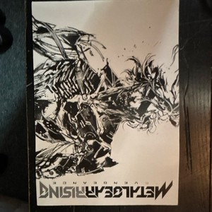 Metal Gear Rising Revengeance Poster | eBay
