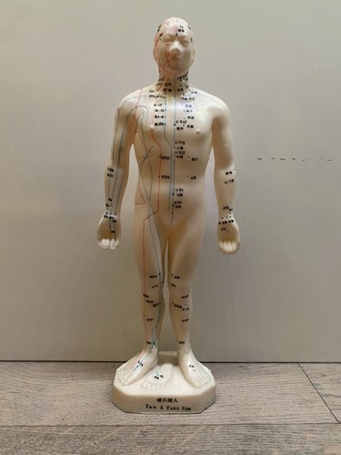 Vintage Tam’s Tong Ren Medical Rubber Acupuncture Practice Doll Figure 10.5”