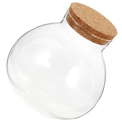Multi-purpose Cork Sealed Glass Terrarium Planter Planter Terrarium
