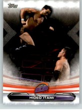 2019 WWE Raw #81 Hideo Itami