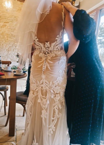 Enzoani Elysee Etoile Francesca Wedding Dress Nude Size 10 - Picture 13 of 13
