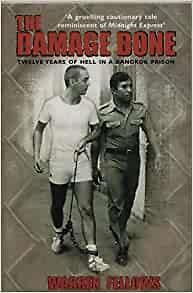 Damage Done, by Warren Fellows, New Book