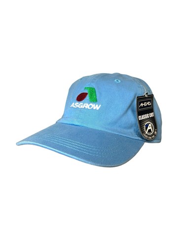 Asgrow Strapback Hat Baby Blue One Size Adjustable Embroidered Logo Ahead - Afbeelding 1 van 9