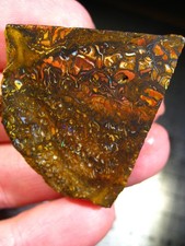 121 cts Australien Roh Koroit Matrix Opal Boulder Rough Sammler Schleifer VIDEO