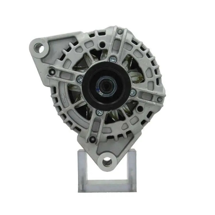Alternatore 555.534.090.010 BV PSH