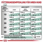 Bild 7 von 10