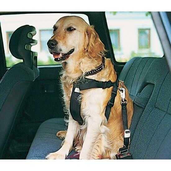 Arnes perros para coche sujeccion con cinturon de seguridad S pecho 30-60...