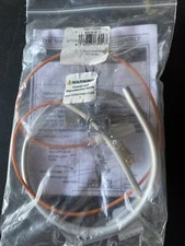 (BC20) 100112298 AO Smith Pilot Assembly