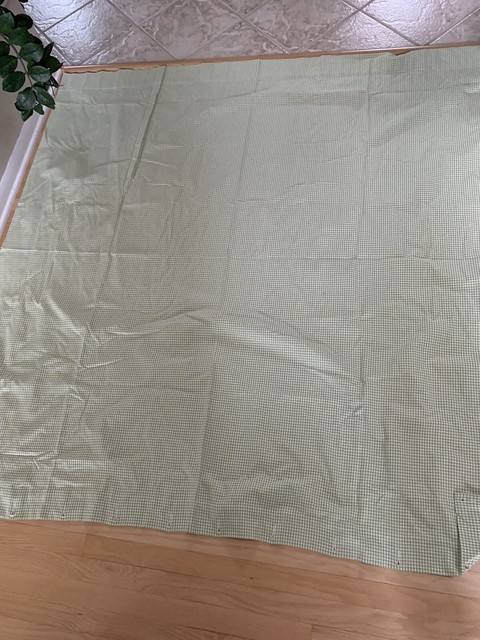 Pottery Barn Kids Green White Checked Gingham Cotton Shower