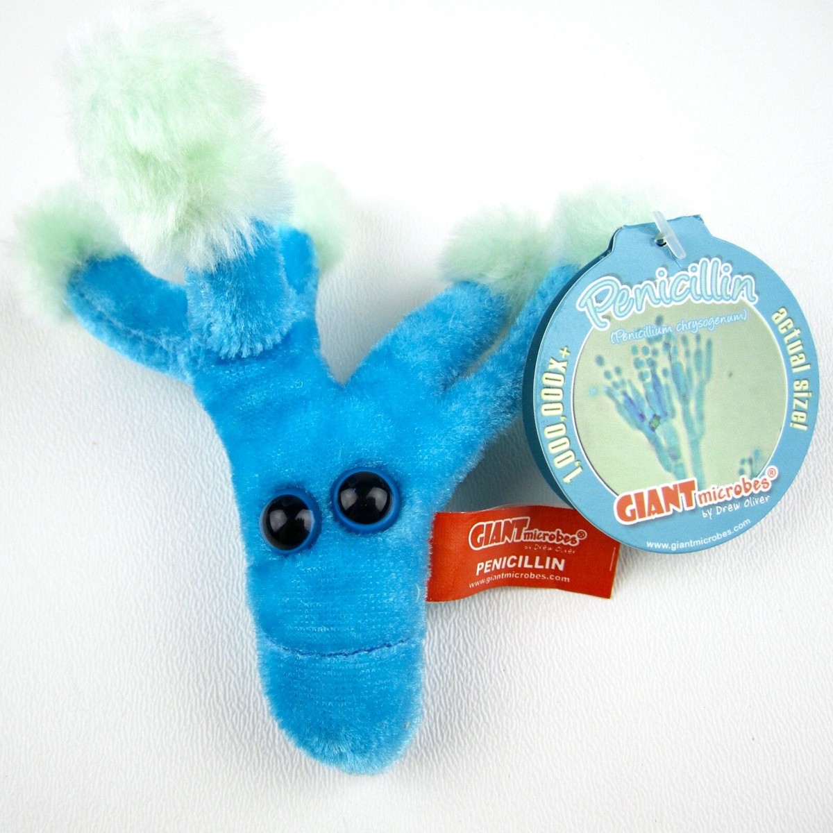 GIANT MICROBES- PENICILLIN, Penicillium Chrysogenum- Plush Biology