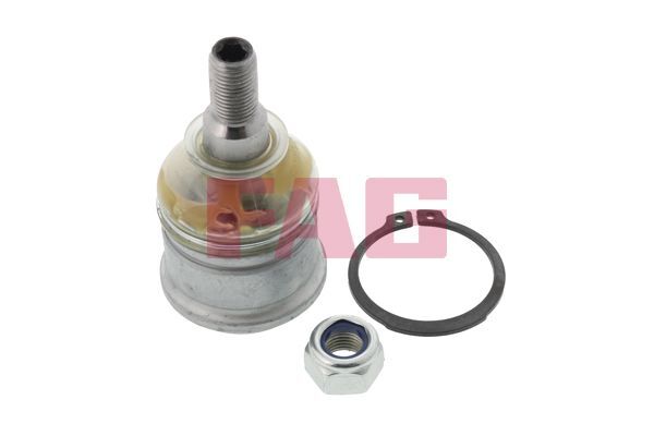 Schaeffler FAG 825 0039 10 Traggelenk FÜHrungsgelenk Vorne Unten FüR Honda Rover-image