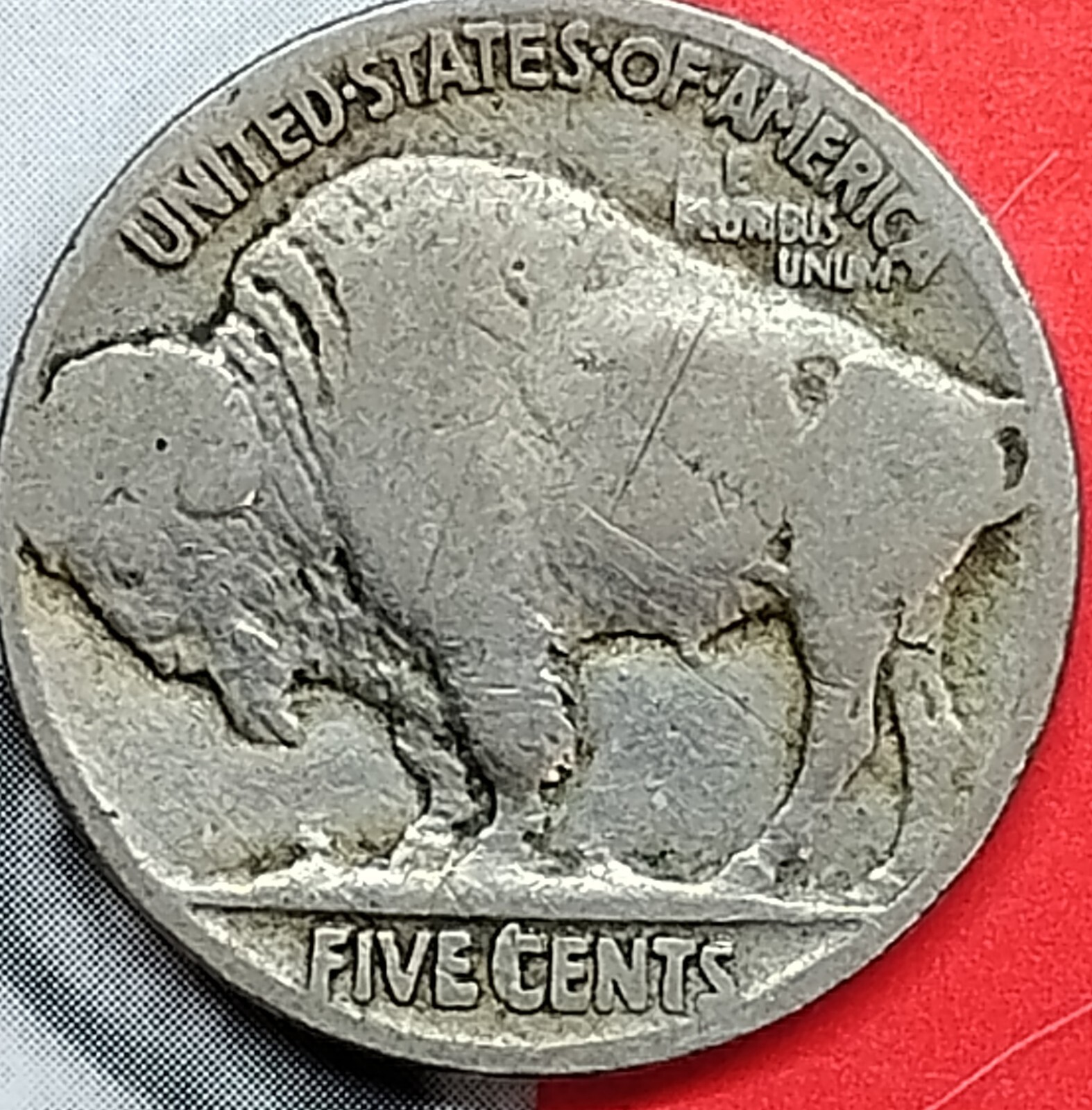 Picture 13 of 13