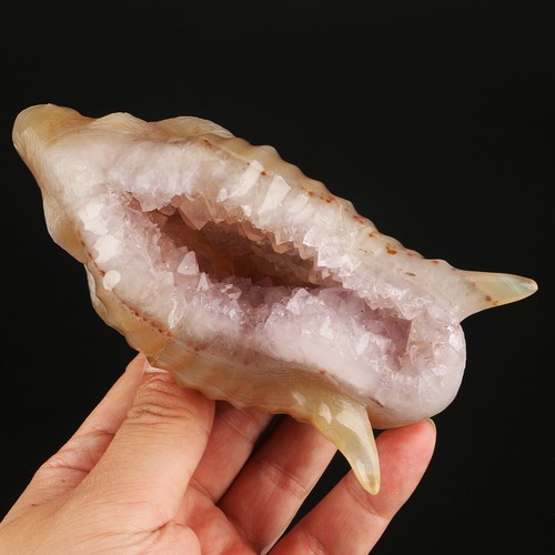 Cristal de cuarzo ágata geoda natural de 5,5" cabeza de oveja tallada a mano animal 580 g - Imagen 8 de 8