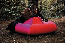 Pierre Paulin Pierre Paulin (Poche)