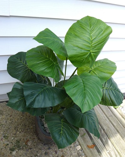 24" Hight Artificial Plant Tropical Small Tree 18 Leaves Home Decora (#150 - Picture 4 of 5