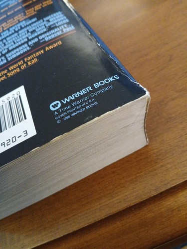 (Paperback From Hell) Dan Simmons - CARRION COMFORT - Warner Books 1st Printing - Picture 11 of 18