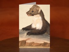A marten by Christoph Amberger, Monogrammist C.A. - A5 Art Print Card