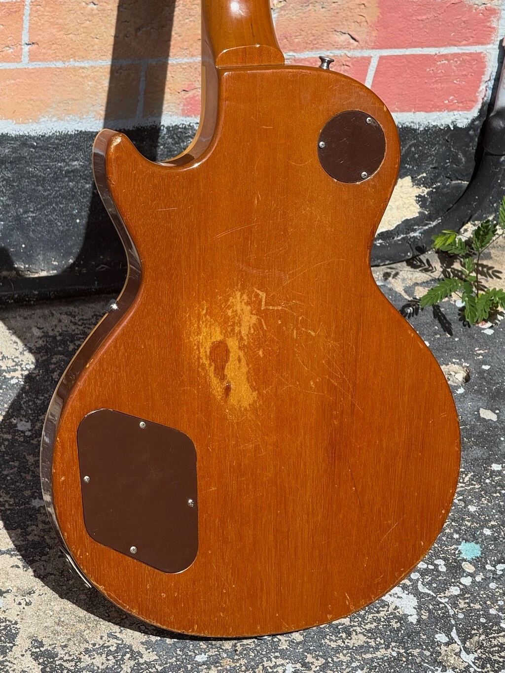 Picture 5 of 18