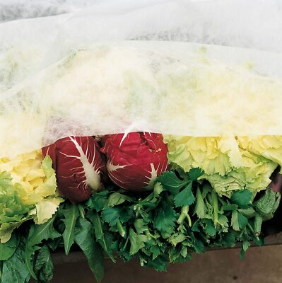 Coperta Antigelo Per Ortaggi Coperta Isolante In Tessuto Non Tessuto Per Frutta E Verdura Da Giardino 2 5 7 5 Metri Bianco 94091291