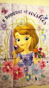 Flag Disney Princess Belle True Livivg Outdoors Garden Decor 12 X