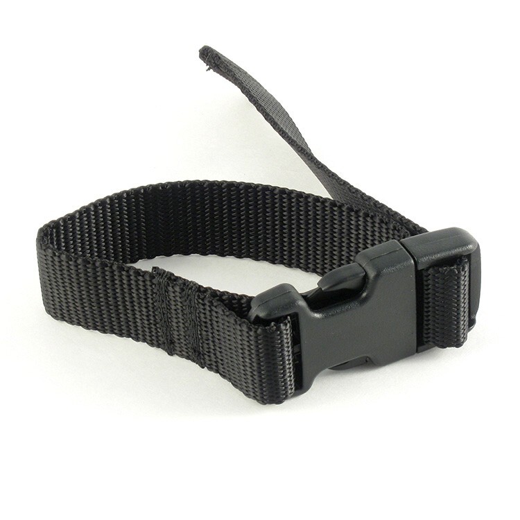 Web And Buckle Assembly #79527201