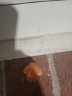 Picture 5 of 6
