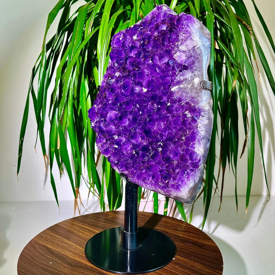 10,89 Pfund natürlicher Amethyst Cluster Quarz Kristall Rückgrat Mineral Probe Heilung