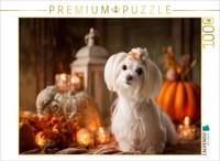 Calvendo Puzzle Maltese - Autumn Coziness | 1000 Pieces, Finished Size 25.2 × 18