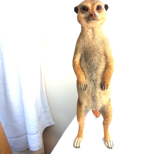 Leonardo Collection Meerkat Figurine Ornament Standing Large 10.5 inch approx