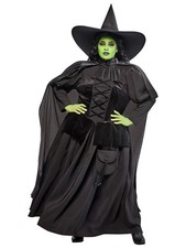 The Wizard of Oz Wicked Witch Women's Plus Size Costume