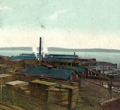 Weyerhauser Lumber Mill Everett Washington WA Postcard 1910 - Great Northern RR