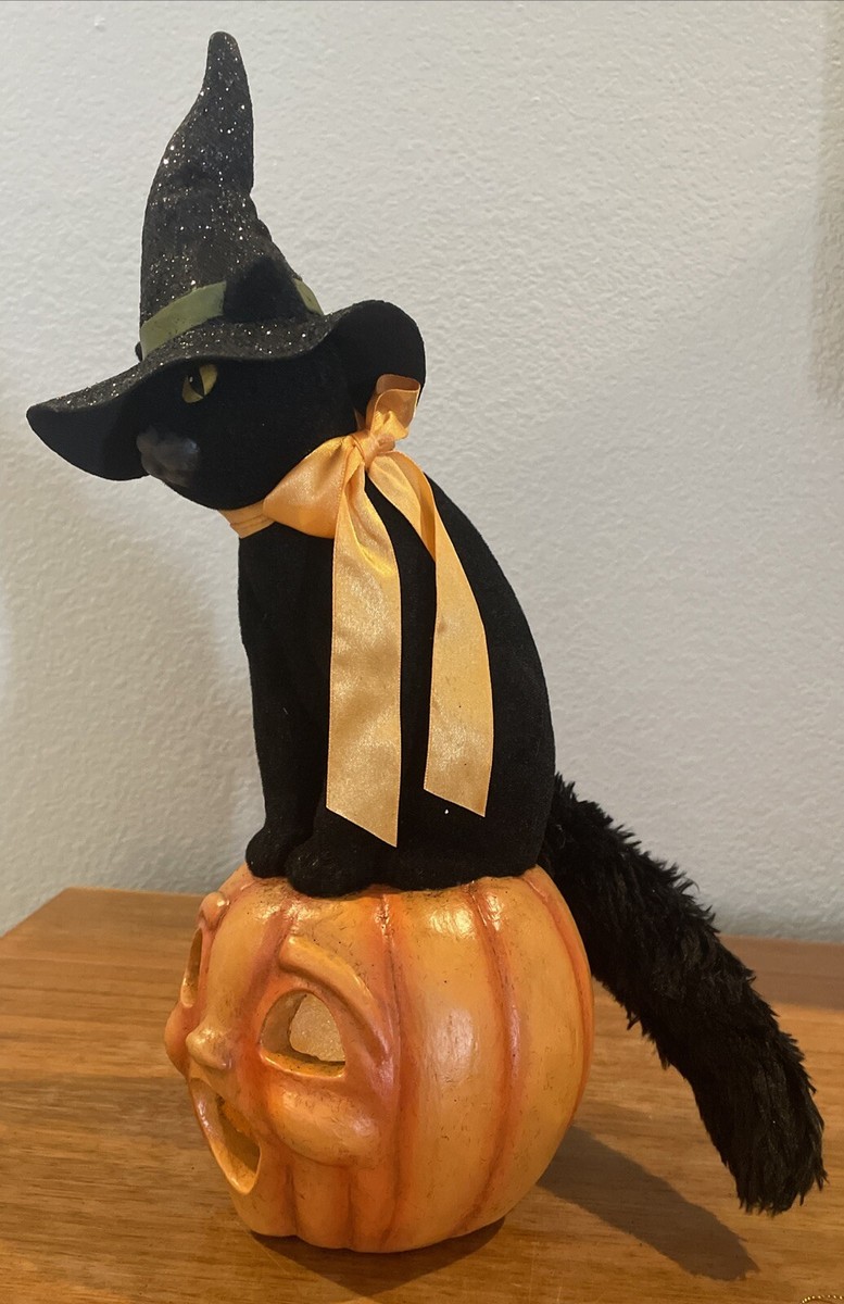 How To Carve A Kitty Jack-O-Lantern | Kittens Whiskers