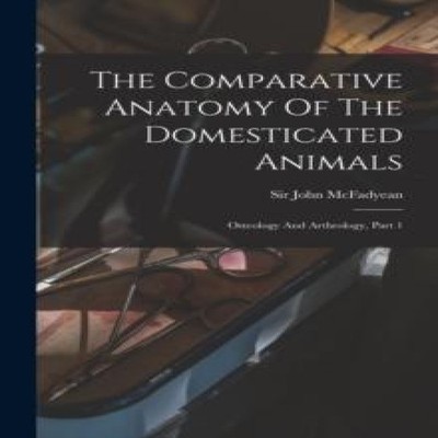 The Comparative Anatomy Of The Domesticated Animals Osteology And