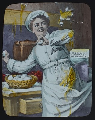 VÖGEL PUDDINGPULVER NO4 VIKTORIANISCHE WERBUNG magische Laterne Dia um 1890