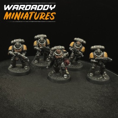 Well Painted Warhammer 40k Silver Templars Intercessors ×5 #2 Games Workshop