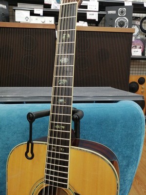 MORRIS 12-string acoustic guitar B-50 | eBay