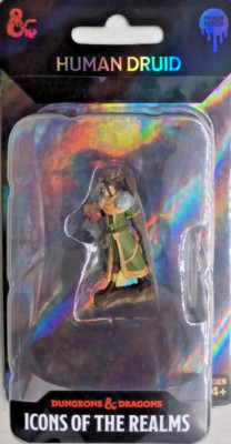 DUNGEONS & DRAGONS ICONS PREMIUM MINIATUREN ~ MENSCHLICHER WEIBLICHER DRUIDE MIT HÖRNERN